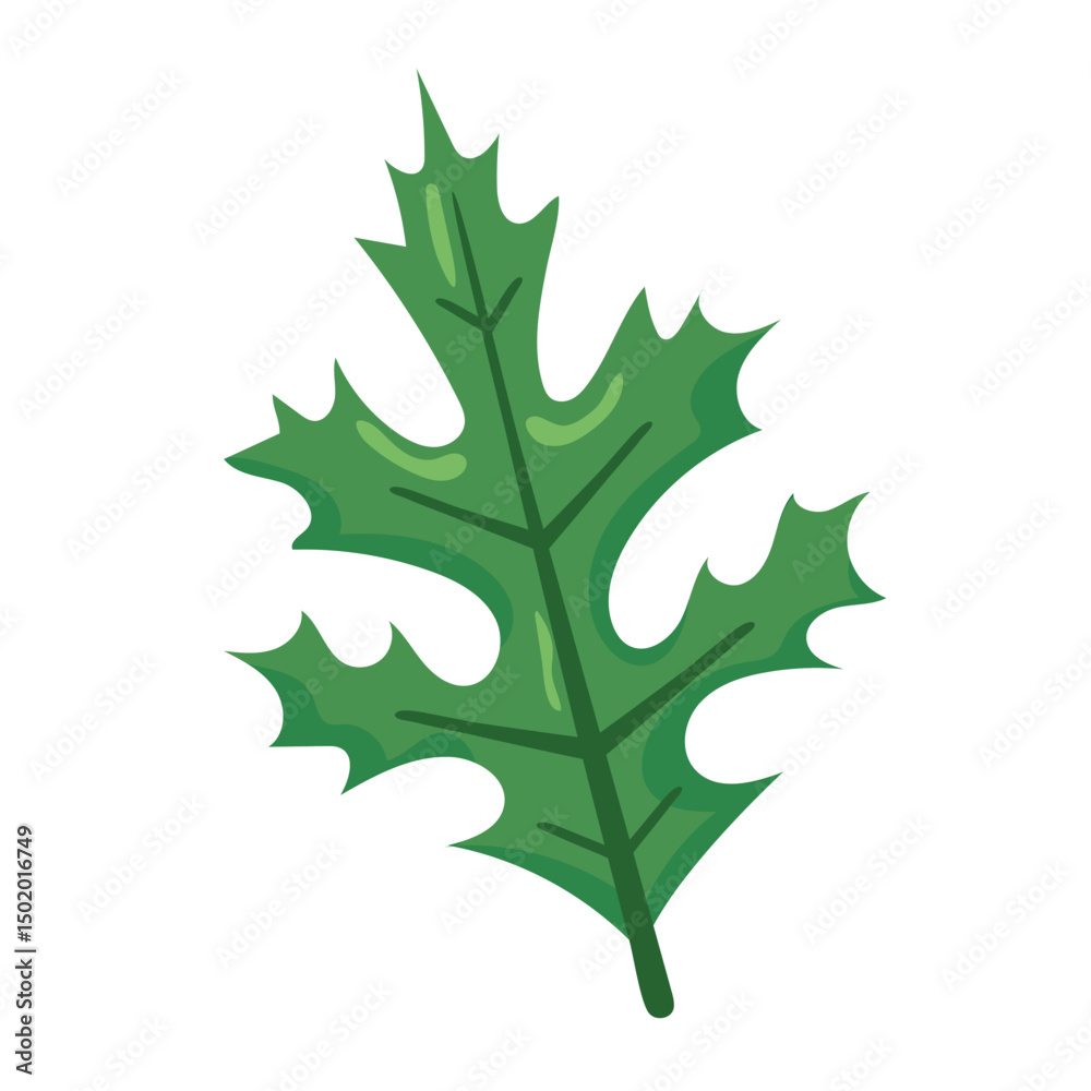 Fototapeta premium Green spiky holly leaf. Vector