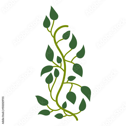 Creeper plant flat