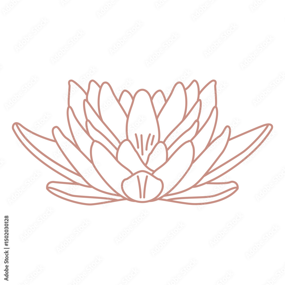 Fototapeta premium Botanical line art lotus flower