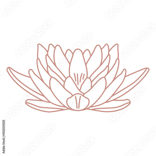 Botanical line art lotus flower