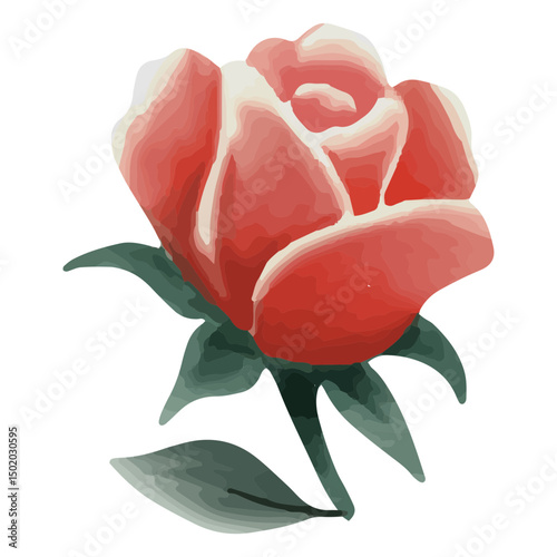 Pink rose textured