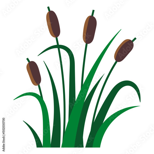 Reed flat aquatic plants