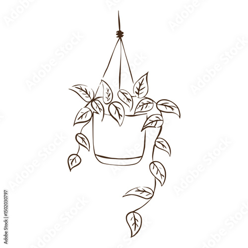 Simple stroke nature home decoration hanging plant