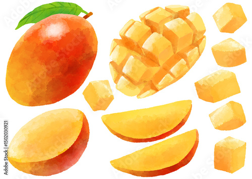 マンゴーのイラスト　手描き　水彩風