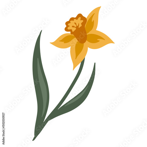 Yellow single daffodil flower