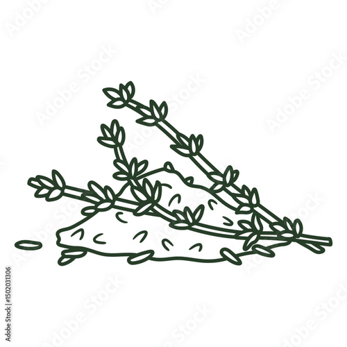Drawing of a bunch of herbs stroke