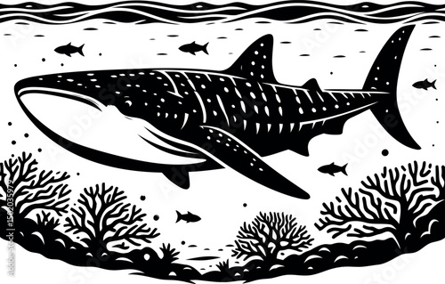 Whale Shark Swimming Over Coral Reef