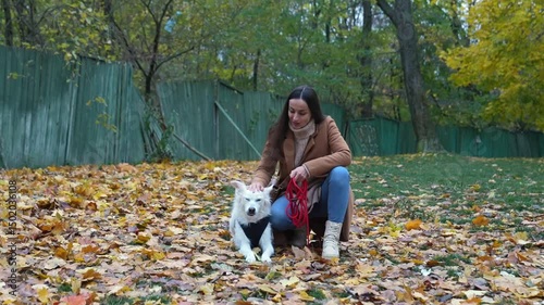 A young woman in a brown coat plays with her white dog in a park covered in autumn leaves. She smiles warmly while holding a red leash, creating a cozy and heartwarming outdoor moment.