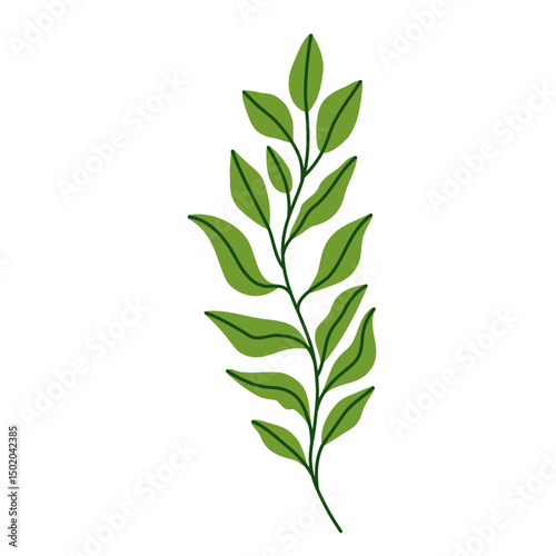 Leaf vector colorful on transparent background