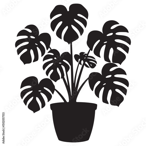 Stylish Monstera Houseplants, Decorative Black Silhouettes for Home and Interior Decor, Tropical Houseplant