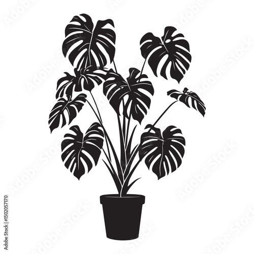Stylish Monstera Houseplants, Decorative Black Silhouettes for Home and Interior Decor, Tropical Houseplant