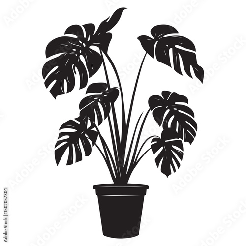 Stylish Monstera Houseplants, Decorative Black Silhouettes for Home and Interior Decor, Tropical Houseplant