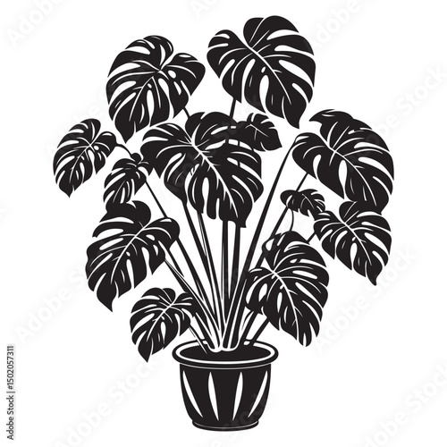 Stylish Monstera Houseplants, Decorative Black Silhouettes for Home and Interior Decor, Tropical Houseplant