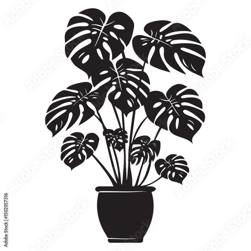 Stylish Monstera Houseplants, Decorative Black Silhouettes for Home and Interior Decor, Tropical Houseplant
