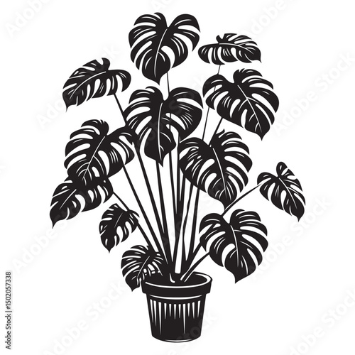 Stylish Monstera Houseplants, Decorative Black Silhouettes for Home and Interior Decor, Tropical Houseplant