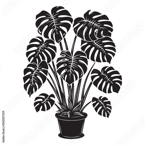 Stylish Monstera Houseplants, Decorative Black Silhouettes for Home and Interior Decor, Tropical Houseplant