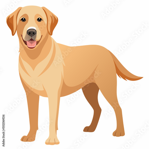 Cute Golden Labrador Retriever Dog Vector Illustration Friendly Pet Portrait