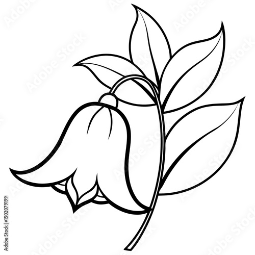 Bellflower Vector on White