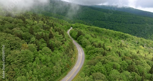 Forest road in North Carolina Appalachian mountains, USA. Blue Ridge Parkway American highway in summer rain season