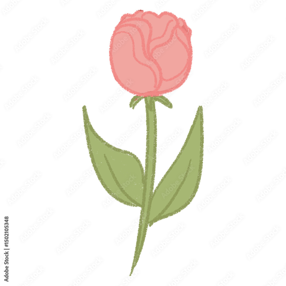 Fototapeta premium pink rose with leaves