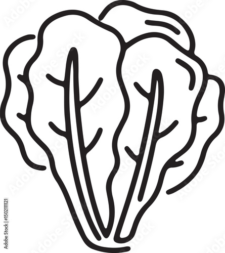 an illustration of mustard greens
