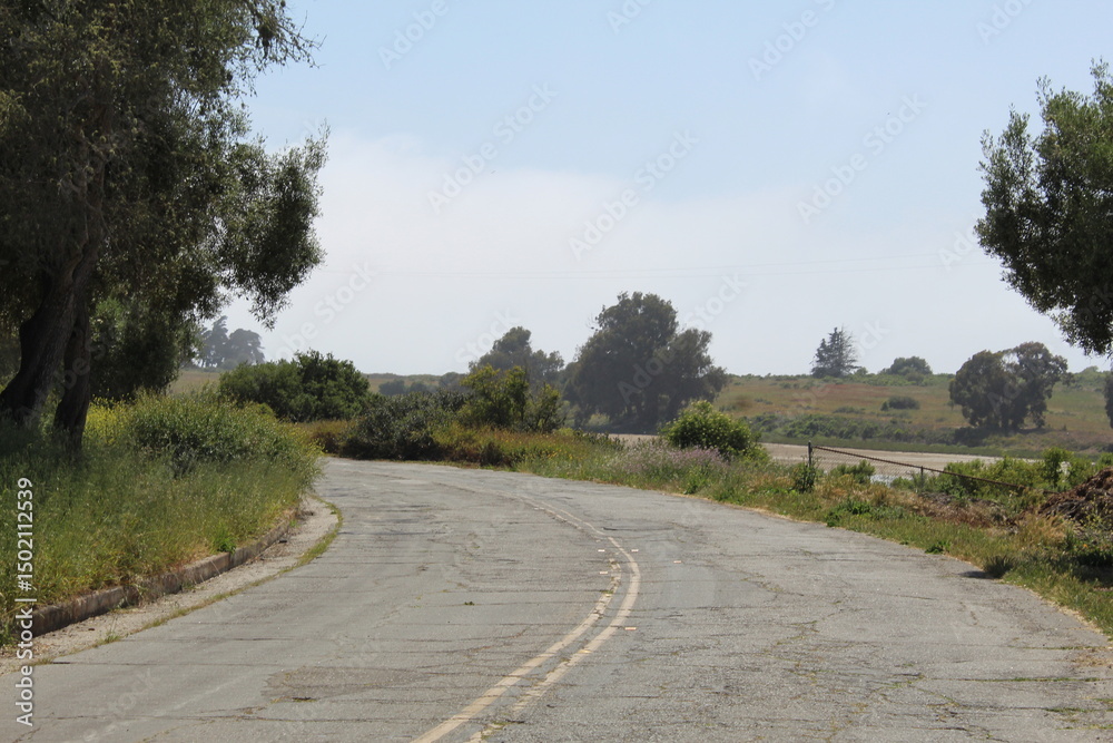 Naklejka premium road in the countryside