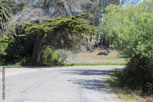 road on a sunny day