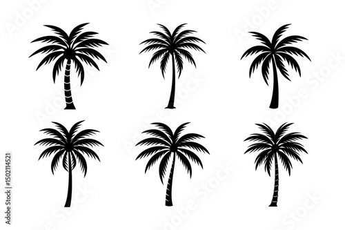 palm trees silhouettes
