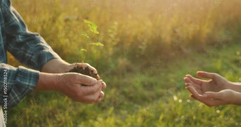 Hands pass a young tree with soil, symbolizing shared care for Earth future. World environmental education day