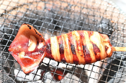 イカ焼き　バーベキュー　炭火でイカのぽっぽっ焼き photo