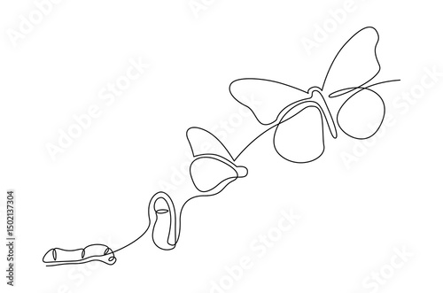 Continuous one line drawing of Butterfly life cycle. Single line drawing illustration of Growth Butterfly. Perfect metamorphosis concept vector art. Line vector illustration.