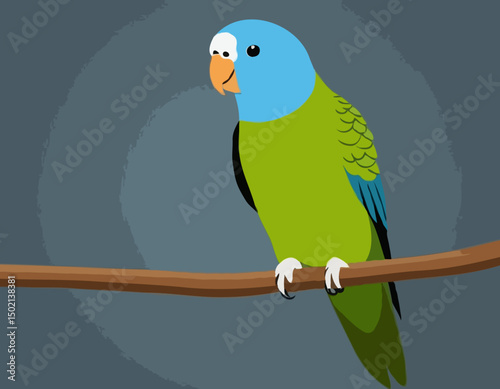 Parakeet