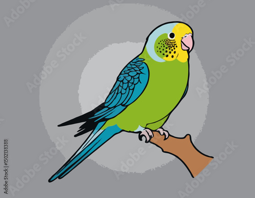 Parakeet