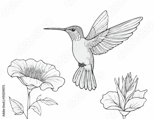 continuous single line drawing of hummingbird hovering while feeding at flower, line art vector illustration