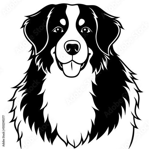 Bernese Mountain Dog Vector on White