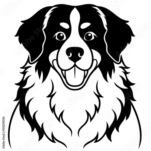 Bernese Mountain Dog Vector on White