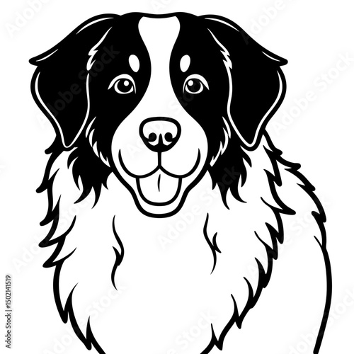 Bernese Mountain Dog Vector on White