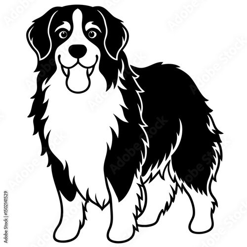 Bernese Mountain Dog Vector on White