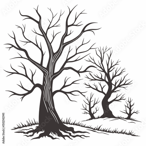Dead trees vector set, scary autumn bark, dry bare branch silhouette, Halloween spooky forest. Cemetery winter oak wood kit, leafless trunk clipart on white bare roots. Environment icon - Royalty-free