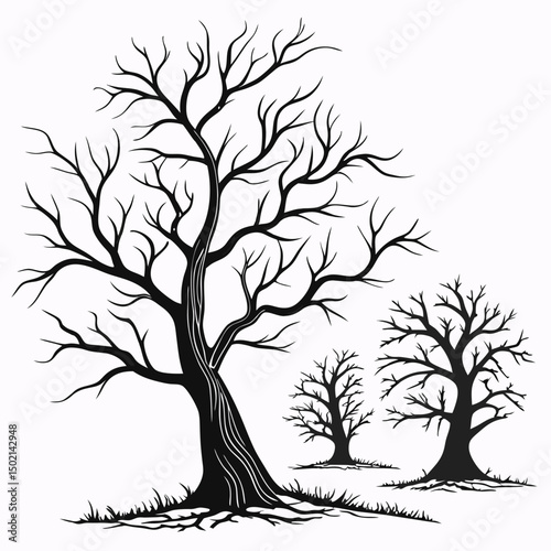 Dead trees vector set, scary autumn bark, dry bare branch silhouette, Halloween spooky forest. Cemetery winter oak wood kit, leafless trunk clipart on white bare roots. Environment icon - Royalty-free