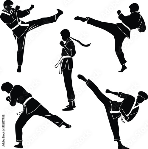 Black silhouette illustrations of karate practitioners performing various martial arts kicks and stances