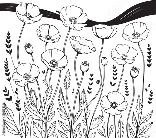 Black and white illustration of poppy flowers with leaves and stems, perfect for floral, nature, and botanical design themes.