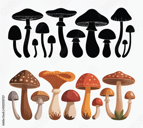 Illustration of various mushroom silhouettes and detailed colored mushrooms, perfect for nature, botanical, and fantasy-themed designs.