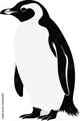 Striking black and white illustration of a standing penguin with detailed outlines