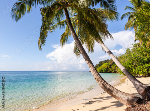 Ao Niang Beach, Ko Kradan, Thailand. Palm trees leaning over the sandy beach, meeting the turquoise sea under a sunny, blue sky. Tropical landscape. photo