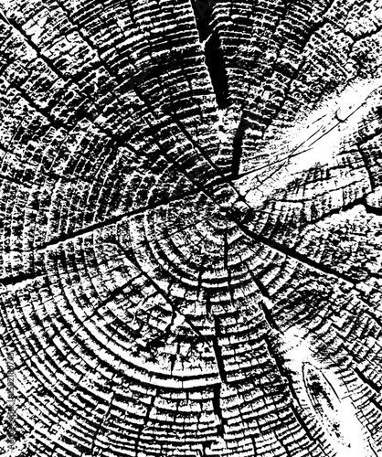 Board, wood, background, texture №9