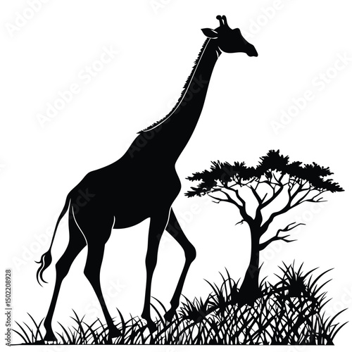 Giraffe Silhouette in the Savannah: An elegant silhouette of a giraffe gracefully strides across the African savanna, complemented by the silhouette of a lone acacia tree.