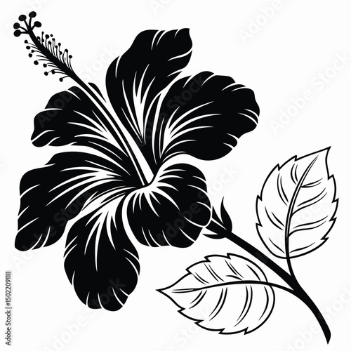 Hand-drawn black and white floral design with intricate details and vintage style