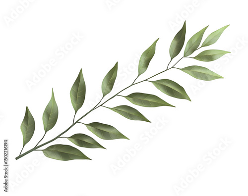 Green leaves on branch plant nature background