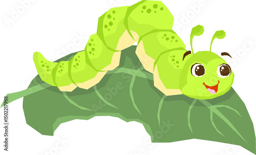 Insect Illustration